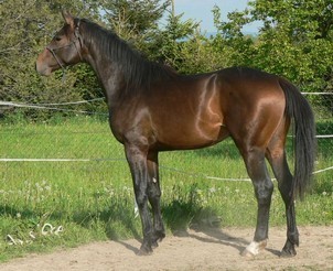 Mon Aer